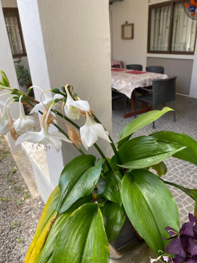 Gardenia Apartments Pereybere Beach Buitenkant foto