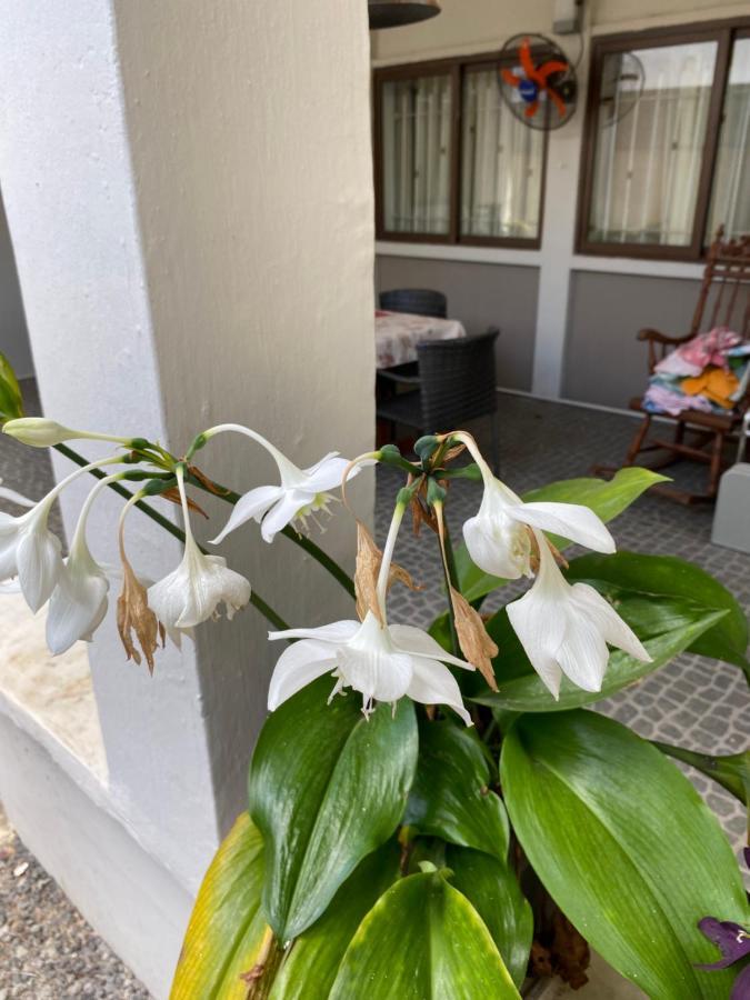 Gardenia Apartments Pereybere Beach Buitenkant foto